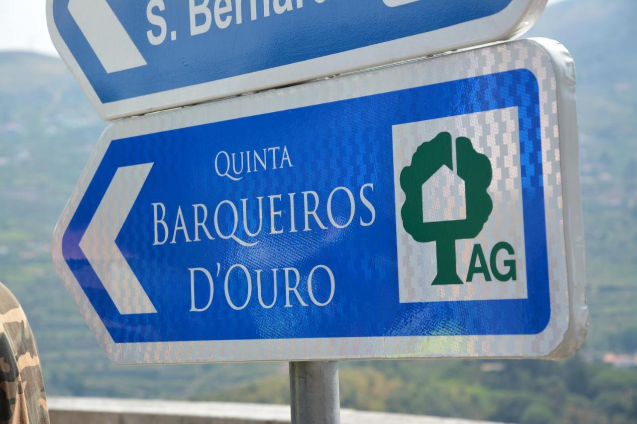 Villa Quinta Barqueiros D'Ouro - Casa Da Musica Mesão Frio Exterior foto